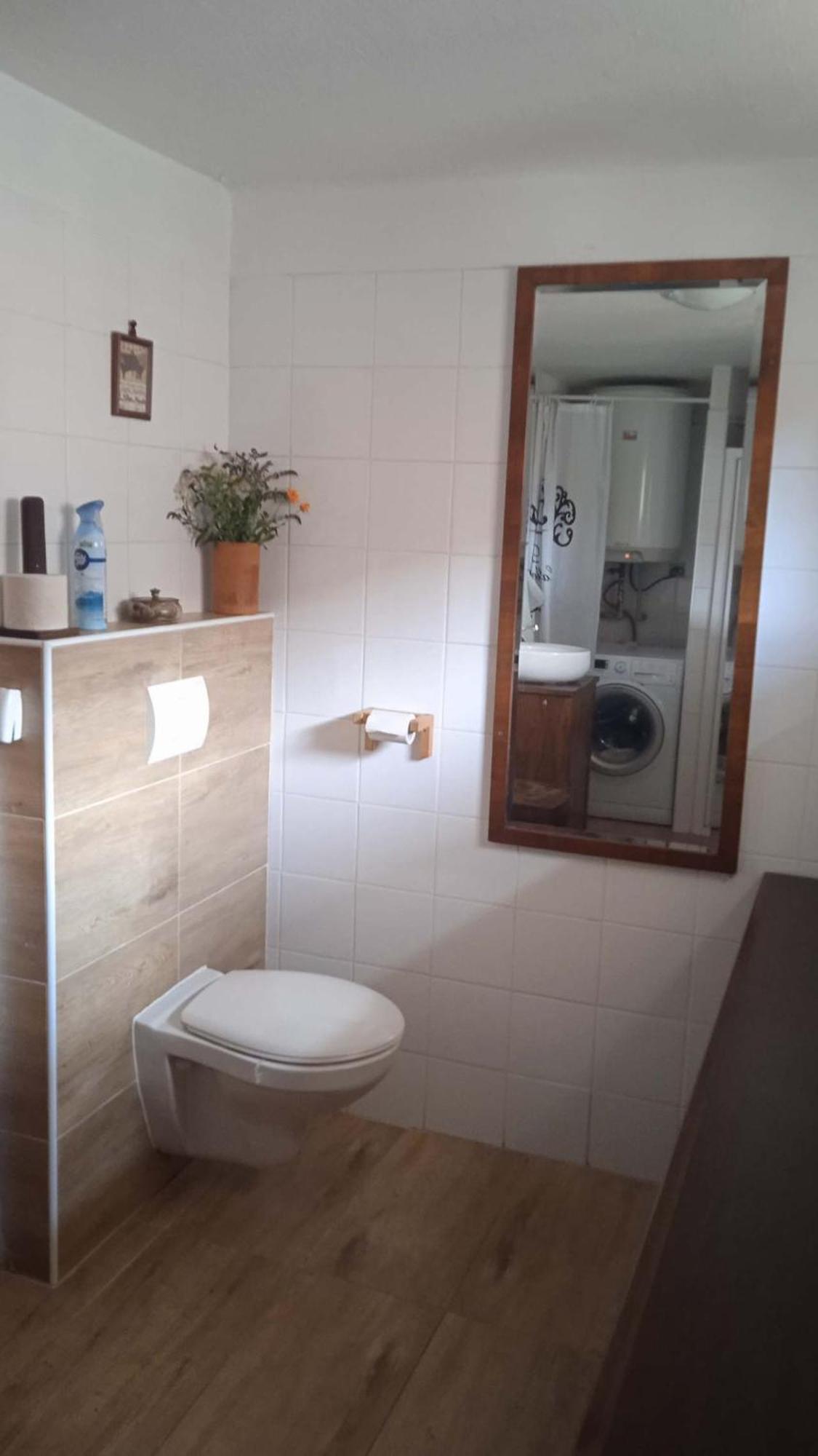 Apartman Mala Turna Strakonice Eksteriør billede